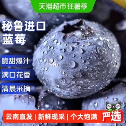 寻天果蔬 云南蓝莓正宗国产新鲜蓝莓王巨无霸当季水果自带花香整箱大果