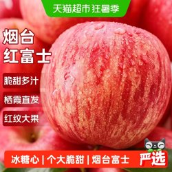 寻天果蔬 阿克苏冰糖心苹果