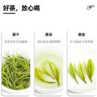 源聞白茶 安吉白茶A4明前绿茶 特级200g*1盒高端礼盒