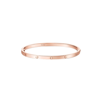 Cartier LOVE系列 窄版手镯 18K玫瑰金 B6079017 17cm