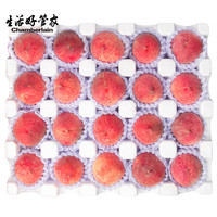 生活＆好管家 山西水蜜桃毛桃子现摘脆甜水蜜桃新鲜水果毛桃蜜桃大桃子 净重4.5斤