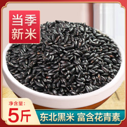 永祥龙 黑龙江黑米 25年精选 软糯营养
