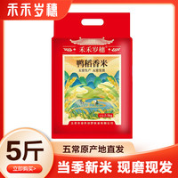 东北香米 五常产地直达 黑龙江新米 2.5kg