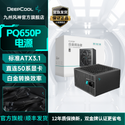 九州风神 PQ750/850/1000P白金牌全模组电源/日系主电容/12年质保