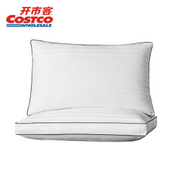 HS HOTEL SUITE QUALITY AT AFFORDABLE PRICES超细纤维抑菌防螨枕