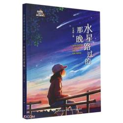 未来系少儿科幻丛书（第二辑）:水星路过的那晚
