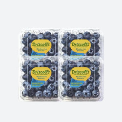 Driscoll's 秘鲁蓝莓 中果 14-17mm 125g*4盒