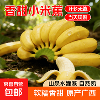 京喜加 苹果蕉2斤装