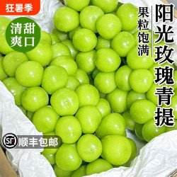 顺丰阳光玫瑰葡萄新鲜湖北荆州5斤当季玫瑰时令水果现摘鲜果提子