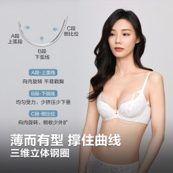 安莉芳 风巢杯 蕾丝防下垂文胸 EB00799