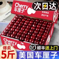 移动端：果天赐 山东烟台美早大樱桃 5斤 礼盒