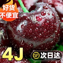 伊人之佳 两斤智利车厘子新鲜水果当季整箱樱桃礼盒