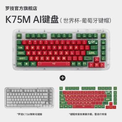 罗技 K75M无线蓝牙机械键盘客制化热插拔定制葡萄牙轴体游戏世界杯