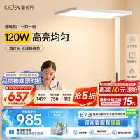 童视界 普瑞红光护眼大路灯 全光谱 120W 落地台灯