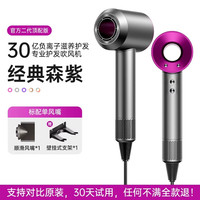RASW 负离子护发速干电吹风