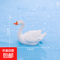 微景观摆件DIY多肉装饰情侣天鹅动物摆件创意盆景树脂小摆件礼品 7号天鹅