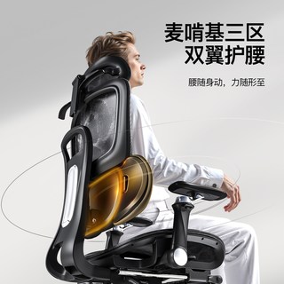 艺颂 S300 人体工学护腰电脑椅