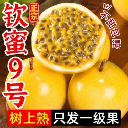 惠事 海南黄金百香果 5斤