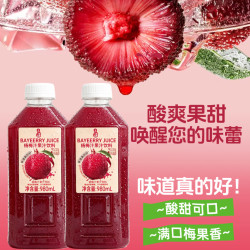 夏至梅 杨梅汁饮料980ML瓶装酸梅汤夏季果汁家庭聚餐酸甜杨梅饮品