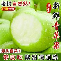 亨迅 山西青苹果 净重5斤 单果60mm+ 新鲜水果