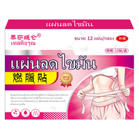 泰莎缇仑燃脂减肥贴 10片/盒