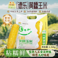 德乐圆 东北黄糯玉米 真空包装 1.52kg