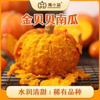南小萌 金贝贝南瓜 板栗味 450g 2个装