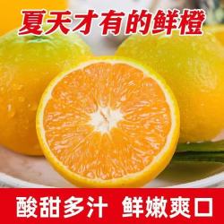 您家橙 秭归夏橙 净重9斤 橙子