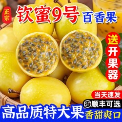 淦橙农源 广西 黄金钦蜜9号百香果 5斤