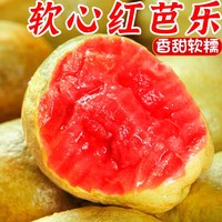 移动端：绿念 广西红心芭乐 5斤
