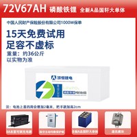 顶恒 九号M5 磷酸铁锂 铅酸版替换 电动车电池