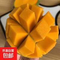 攀枝花凯特芒四川青黄皮当季汁多肉厚生熟两吃核薄无丝大果整箱 带箱10斤净重9.5斤单果400g