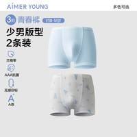 爱慕 儿童（AIMER KIDS）天使少年裤莫代尔男生内裤2条装平角裤 王牌A 160