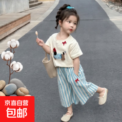 京喜 女童夏季套装2026新款儿童衣服t恤裤子夏装短袖小女孩两件套1-3岁 杏色 薄款 110 cm