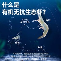 88VIP：卖鱼七郎 有机无抗鲜冻虾 盐田虾不含冰净重2斤