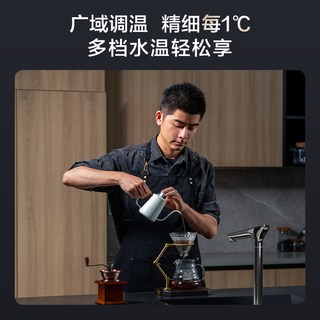 添可 饮万Pro 反渗透净热一体 厨下净水器
