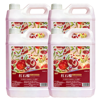 圣洁康抑菌洗手液 5斤+600ml*1瓶