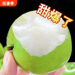 砀山 安徽砀山梨 4.5斤 250g+