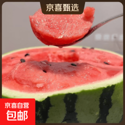 正宗美都麒麟西瓜现摘现发脆甜瓜多汁有籽当季新鲜水果 冰糖麒麟瓜 精品麒麟西瓜/ 5-6斤一个瓜