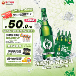 珠江啤酒 纯生啤酒  纯生 600mL 12瓶 瓶装 600ml