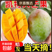 攀枝花凯特芒果大脸芒新鲜大芒果特大青皮芒当季整箱l 攀枝花凯特大芒果 含箱5斤