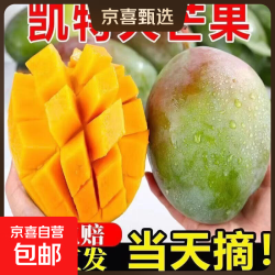 攀枝花凯特芒果大脸芒新鲜大芒果特大青皮芒当季整箱l 攀枝花凯特大芒果 含箱5斤