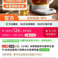 小米 P1养生壶