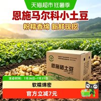 88VIP：好鲜市集 正宗湖北恩施小土豆迷你马铃薯洋芋应季蔬菜整箱