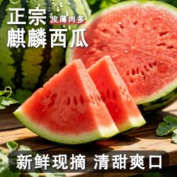 河南美都麒麟西瓜 新鲜头茬 净重8-10斤/个