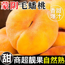 粤迎 山东蒙阴黄金毛蟠桃甜新鲜黄桃应当季整箱现摘 5斤精选果净4.52斤