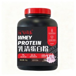 元气码头 乳清蛋白粉 2250g