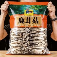 鹿茸菇批发团购