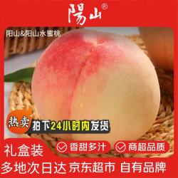 阳山 水蜜桃 4-5两 12枚 普通盒装