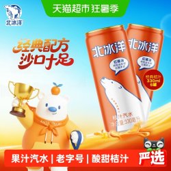 北冰洋 桔汁汽水 330ml*6听
